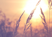 Como Encaminhar um Esp&iacute;rito para a Luz