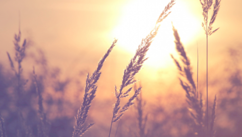 Como Encaminhar um Esp&iacute;rito para a Luz