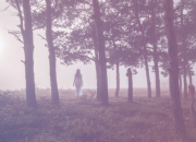 Os 7 tipos de Esp&iacute;ritos Obsessores: Guia Espiritual Completo