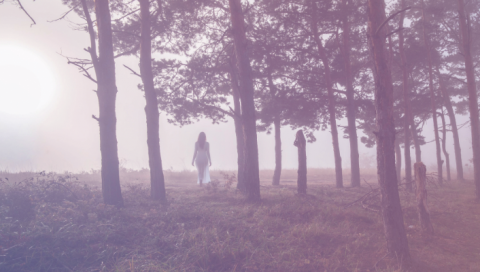 Os 7 tipos de Esp&iacute;ritos Obsessores: Guia Espiritual Completo