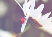 Sinais de Aviso Espiritual: Como Reconhecer