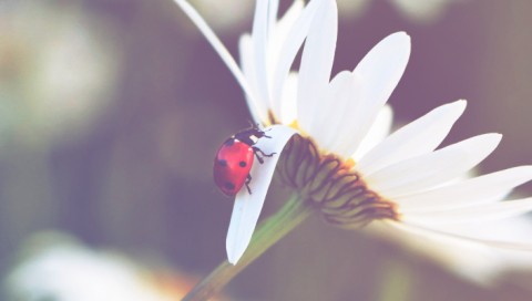 Sinais de Aviso Espiritual: Como Reconhecer